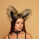 Fluffy cat ears brown with black tip 30220330 фото 1